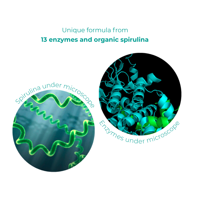 Enzspiru_micro_eng