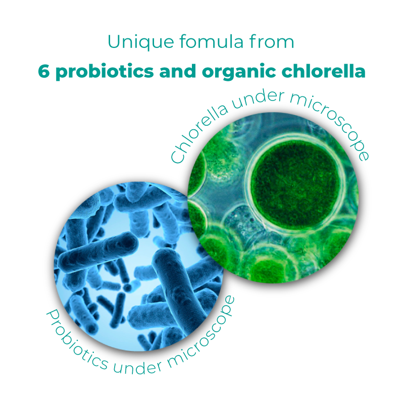 sinbiotic_microscope_eng